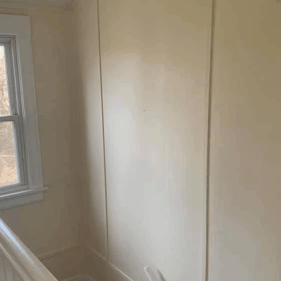 FNS Landscape & Painting